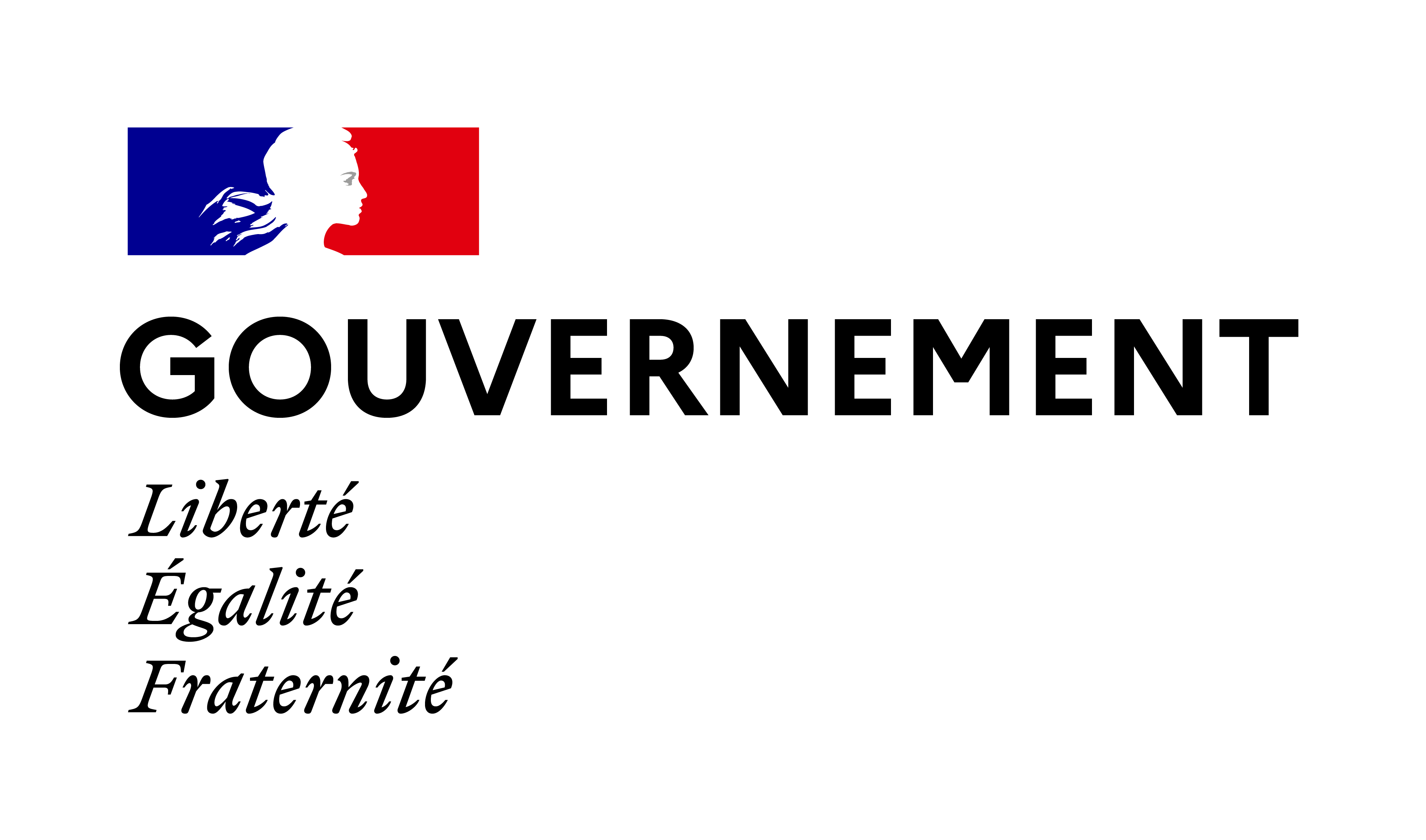 Logo du Gouvernement